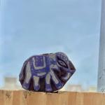 Handcrafted Elephant Wood Block Stamp – Pack of 5 Hand Made Block Paper & Fabric Print Stamp Handmade Sheesham Wooden Block Print Stamp