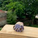 Handcrafted Elephant Wood Block Stamp – Pack of 5 Hand Made Block Paper & Fabric Print Stamp Handmade Sheesham Wooden Block Print Stamp