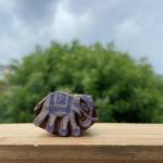 Handcrafted Elephant Wood Block Stamp – Pack of 5 Hand Made Block Paper & Fabric Print Stamp Handmade Sheesham Wooden Block Print Stamp