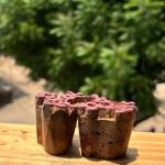 Floral Hand carved Wooden Block Prints for Paper Fabric & Crafts Printing