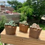 Pack of 3 Floral Design Hand carved Wooden Block Prints for Fabric and Craft Handmade Sheesham Wooden Block Paper & Fabric Print Block Sta